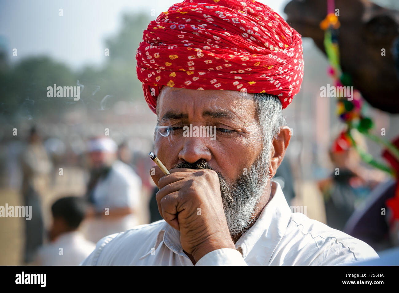 Ritratto di un fumo non identificato di Rajasthani uomo indiano partecipa alla fiera di Pushkar. Foto Stock
