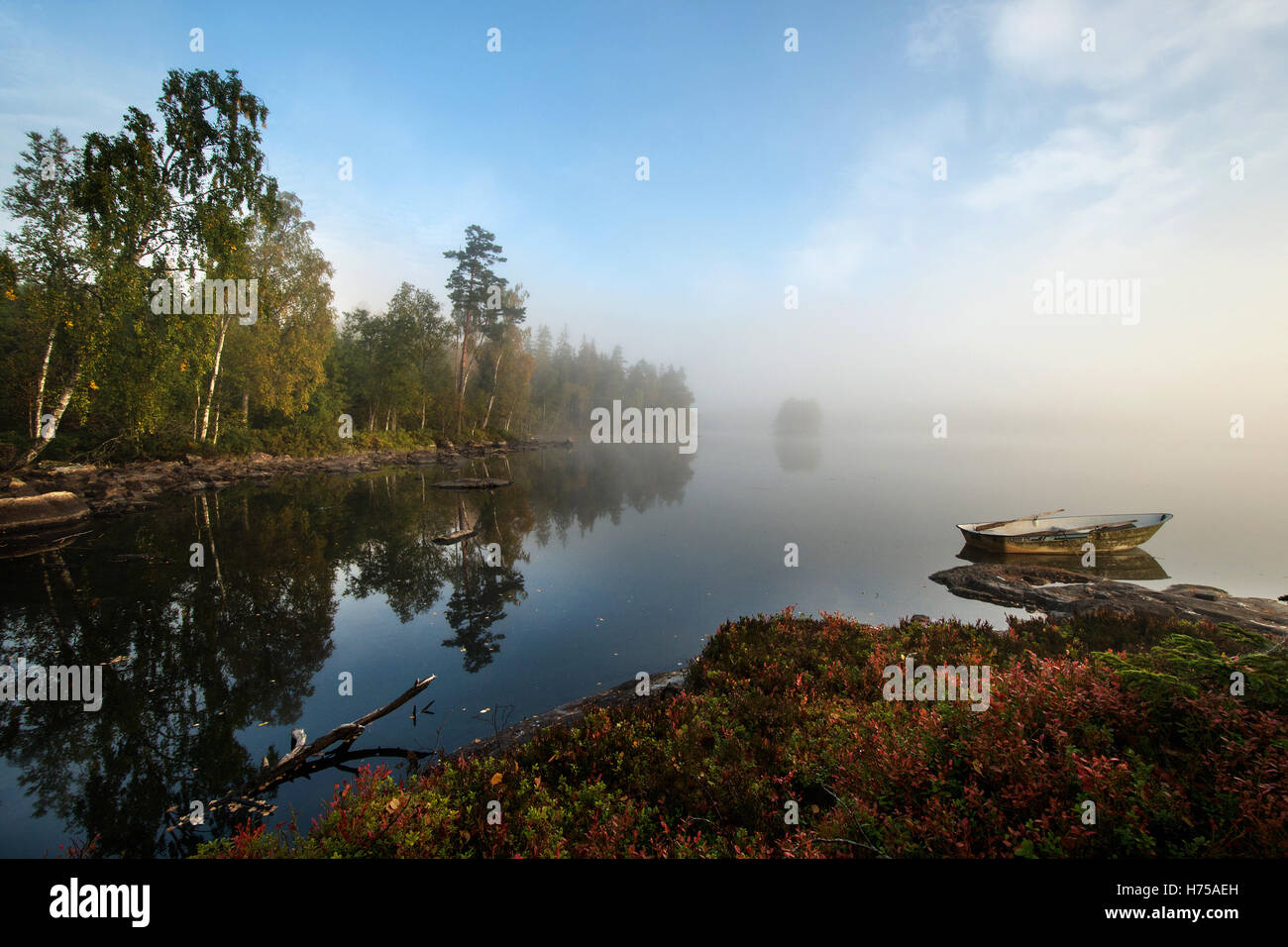 Paesaggio autunnale Holmasjön lago vicino Ramkvilla, Smaland, Svezia Foto Stock