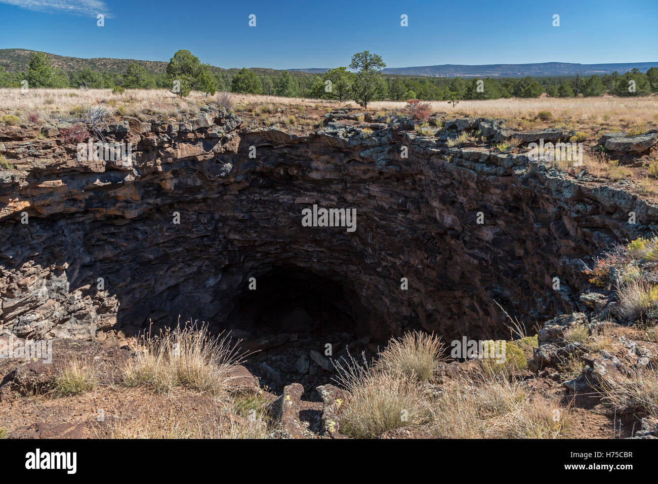 Sovvenzioni, New Mexico - il collasso del tubo di lava in El Calderon area di El Malpais monumento nazionale. Foto Stock