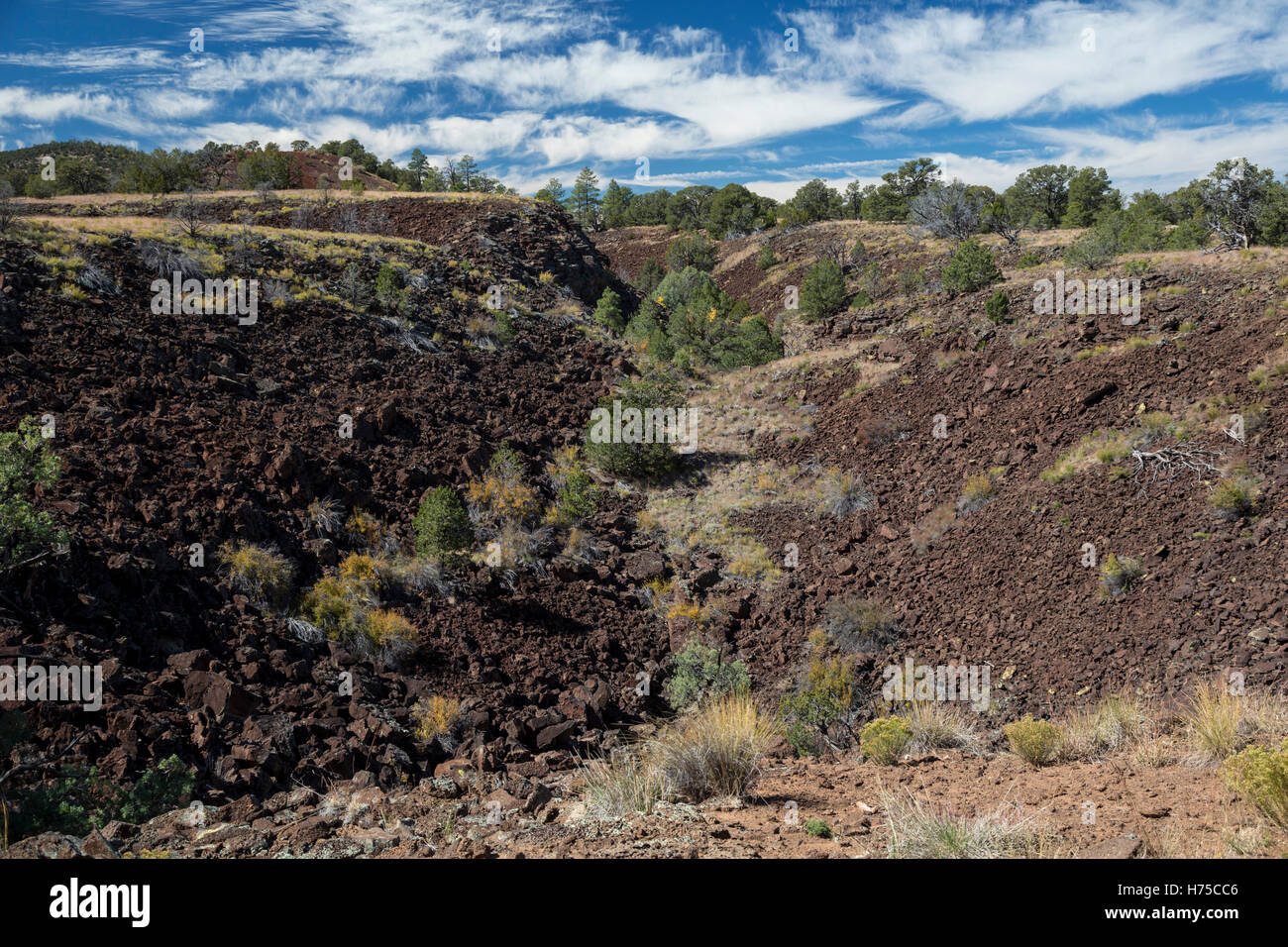 Sovvenzioni, New Mexico - una trincea di lava in El Calderon area di El Malpais monumento nazionale. Foto Stock