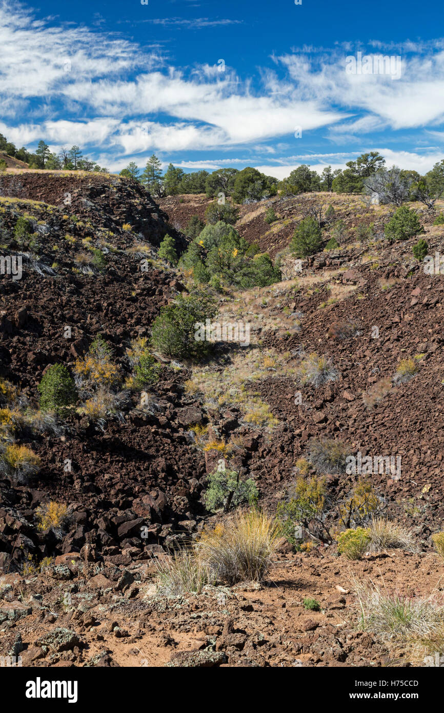 Sovvenzioni, New Mexico - una trincea di lava in El Calderon area di El Malpais monumento nazionale. Foto Stock