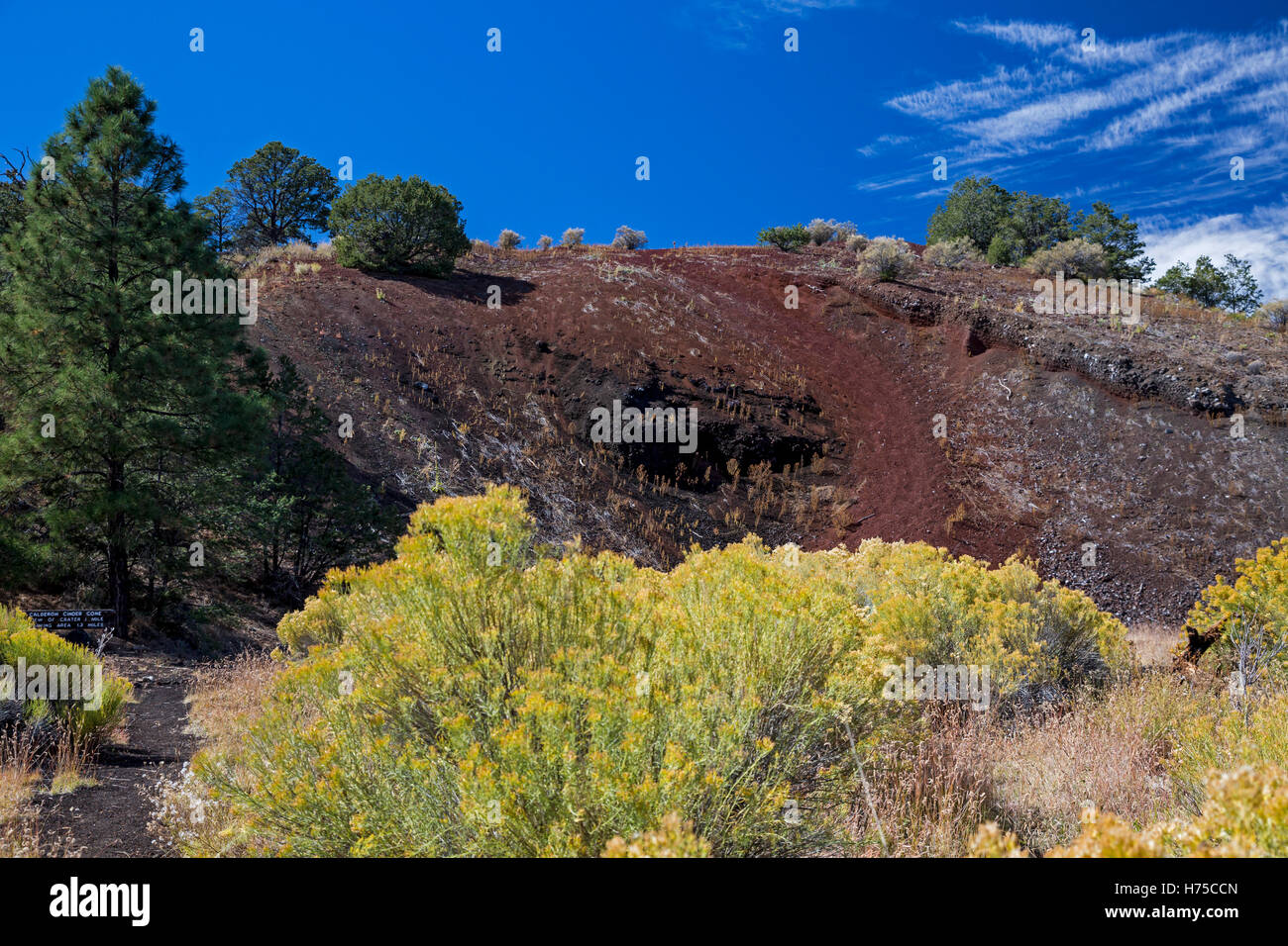 Sovvenzioni, New Mexico - El Calderon cono di scorie di El Malpais monumento nazionale. Foto Stock