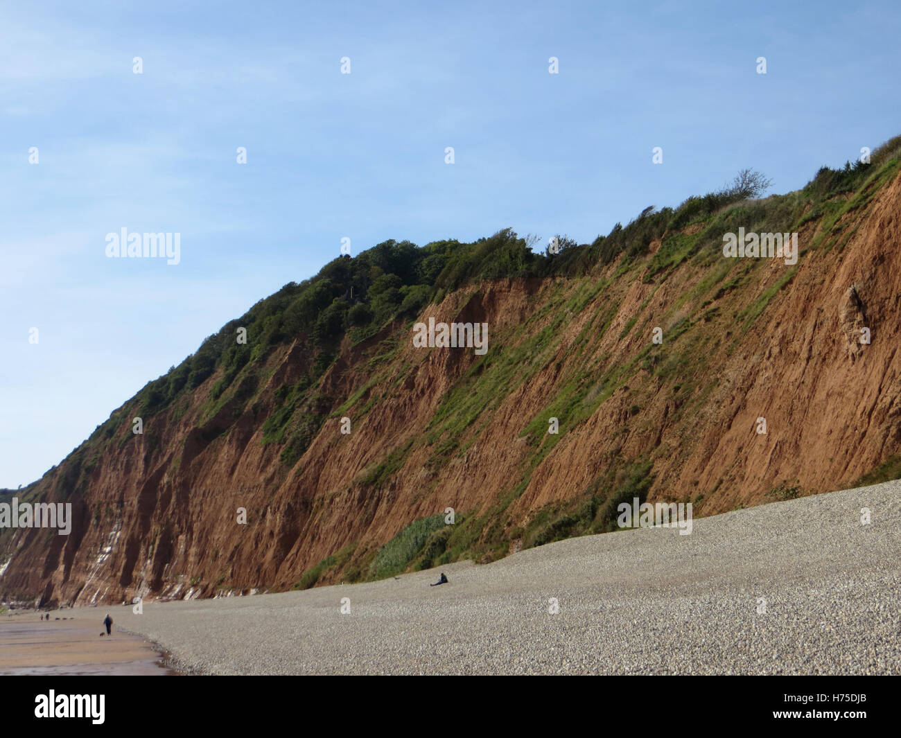 Triassico scogliere di arenaria e ghiaiosa spiaggia superiore su la scala di Giacobbe beach, Sidmouth a bassa marea in un pomeriggio soleggiato in autunno Foto Stock