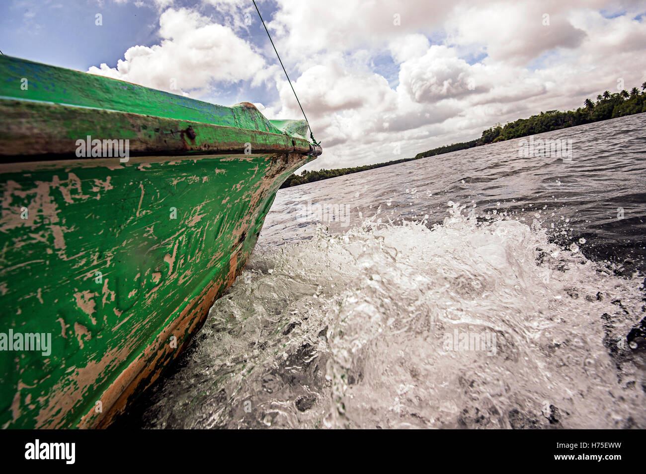 Safari sul fiume Foto Stock