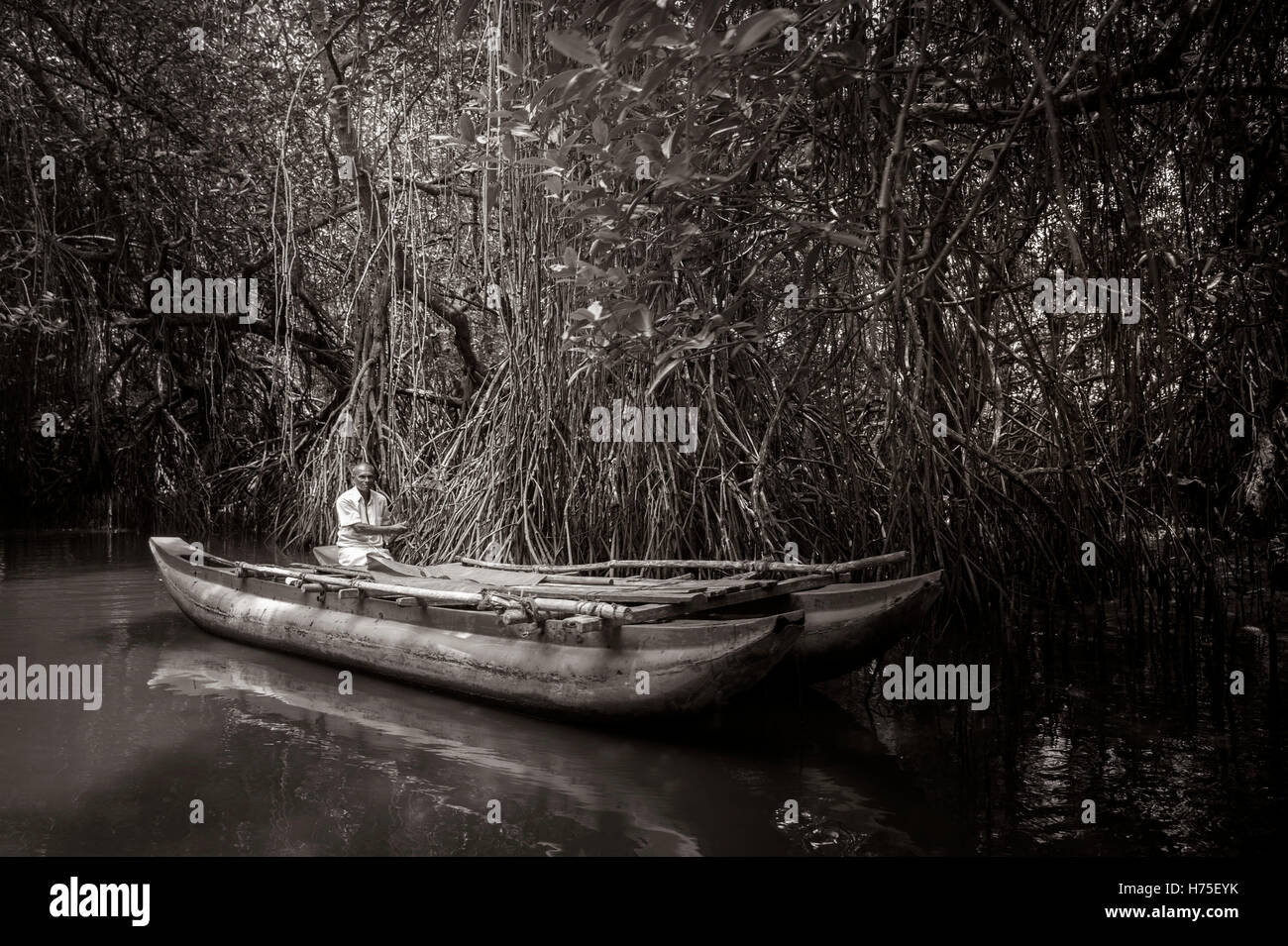 Safari sul fiume Foto Stock