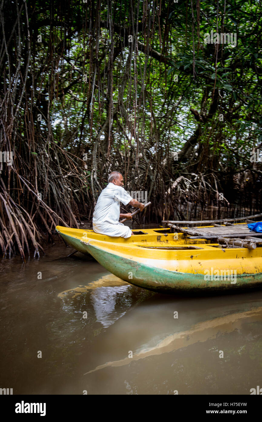 Safari sul fiume Foto Stock