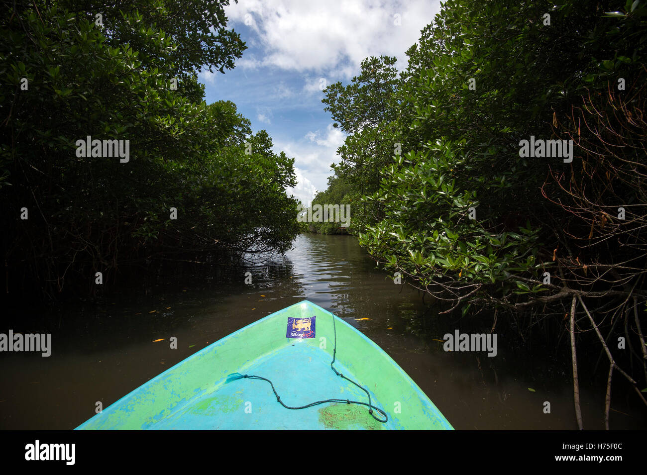 Safari sul fiume Foto Stock