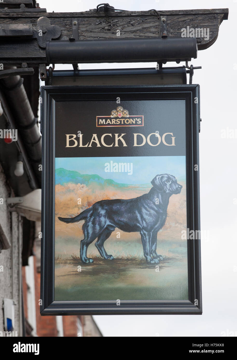 Hanging pub segno per cane nero Public House, Grantham, Lincolnshire, England, Regno Unito Foto Stock