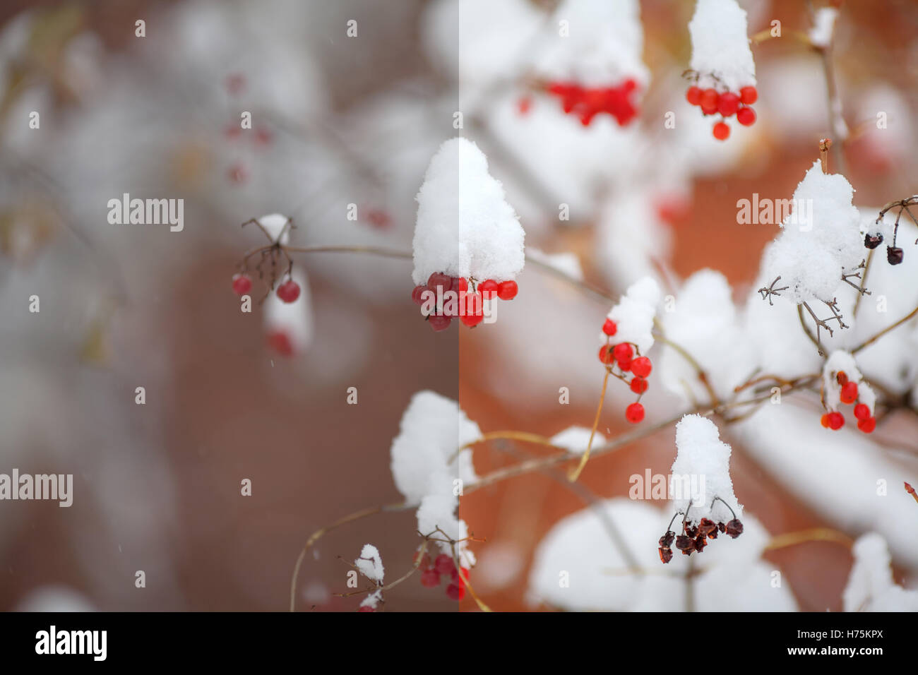Foto prima e dopo l'immagine processo di editing. Scena invernale Foto Stock