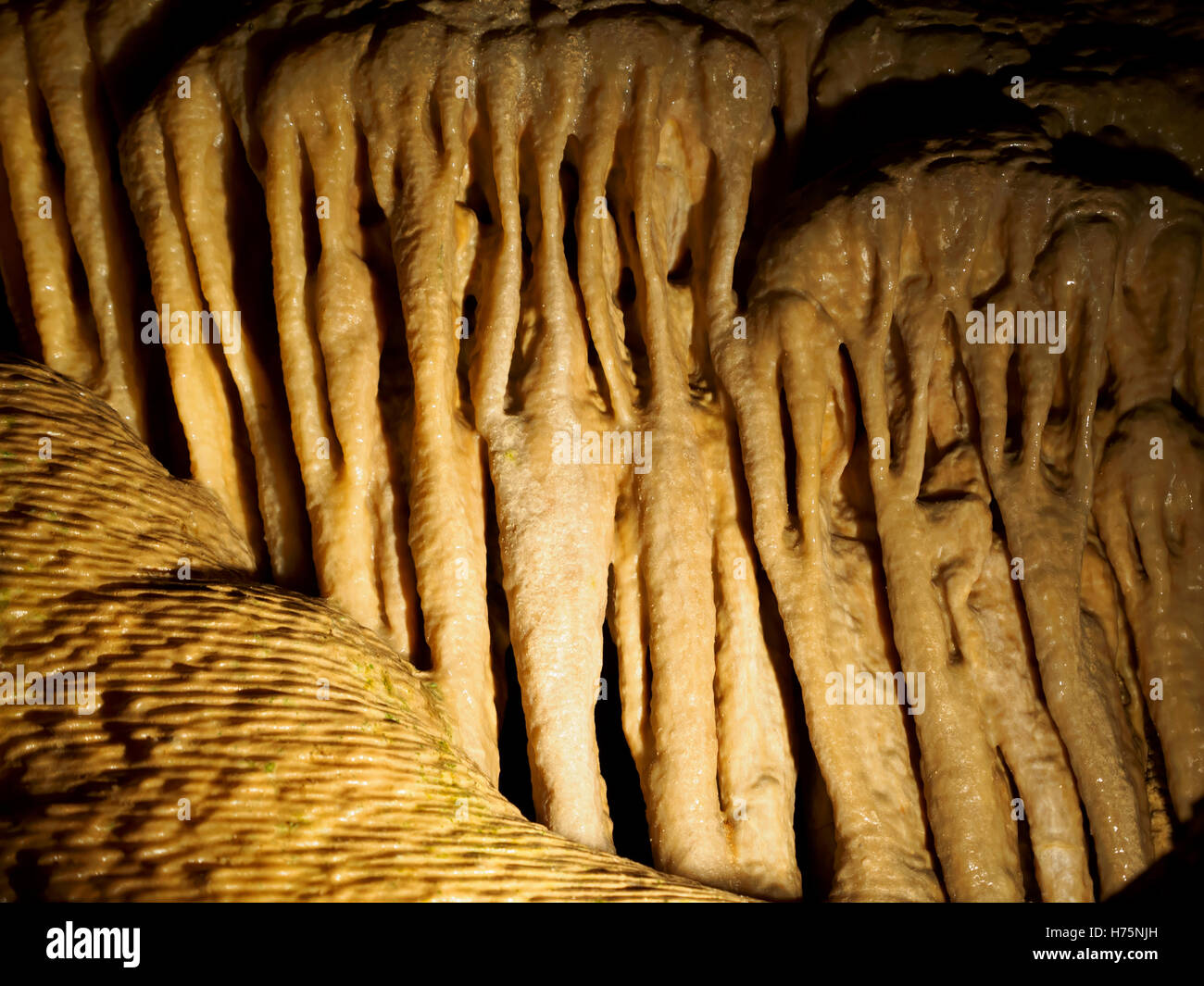 La Grotta dei Cristalli, parrocchia di Hamilton, Bermuda Foto Stock