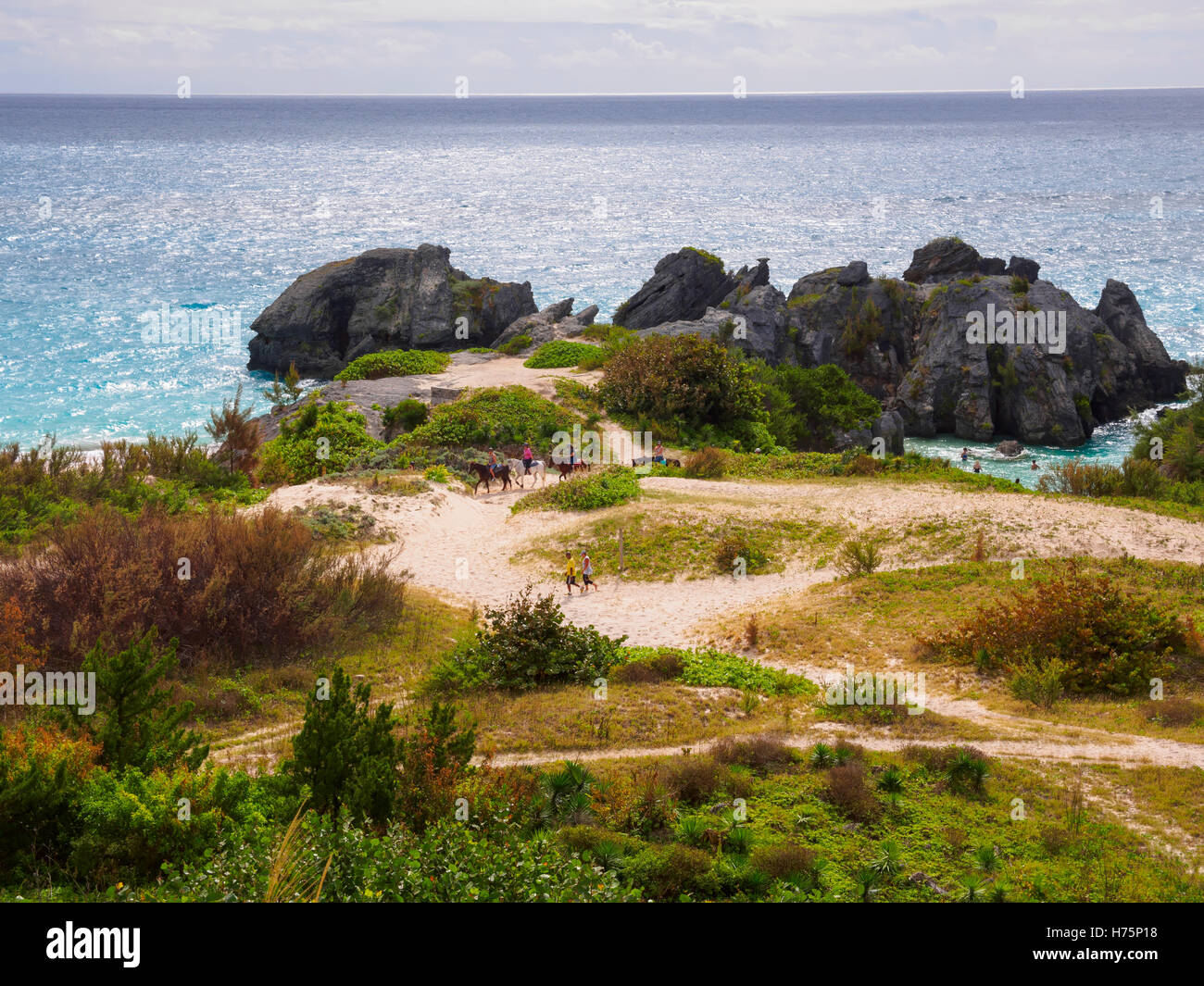 South Shore Park, Jobsons Bay, Warwick Parish, Bermuda Foto Stock