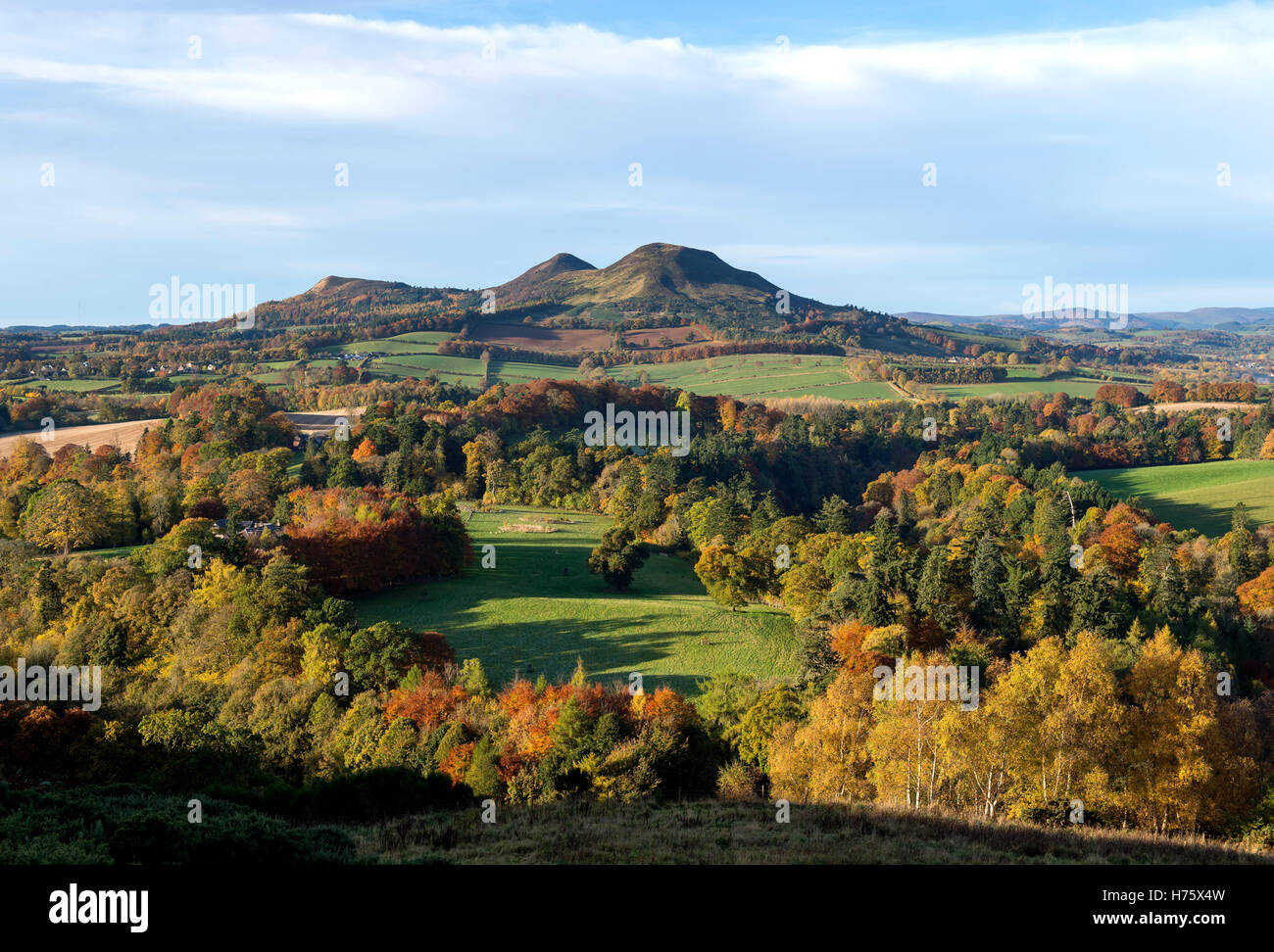 Scott ritiene che un punto di vista in confini scozzesi che si affaccia sulla valle del fiume Tweed, con le colline Eildon al di là. Foto Stock