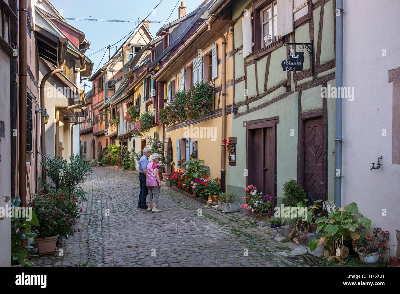 Eguisheim, Alsazia villaggio nel nord est della Francia Foto Stock