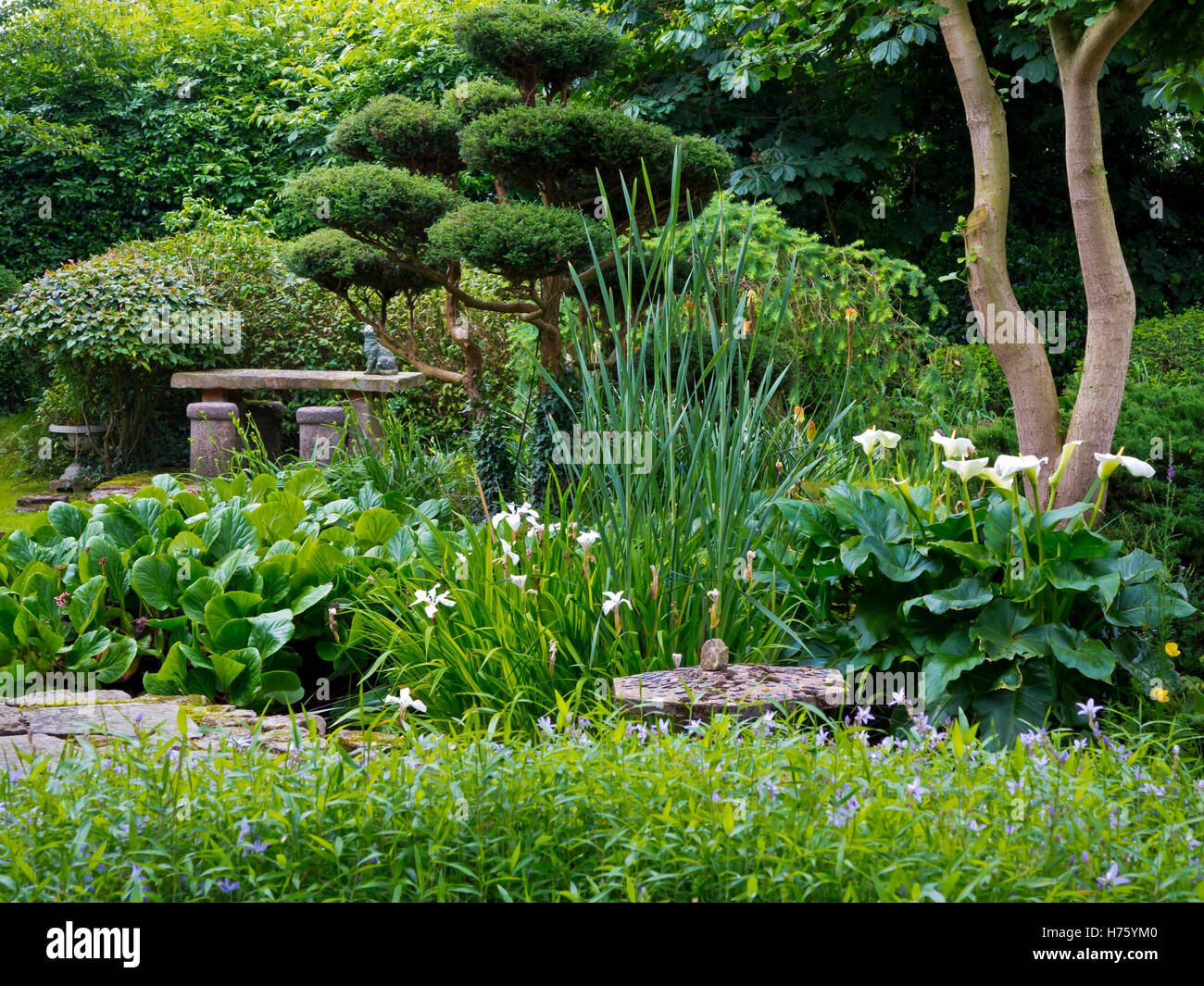 Pura Terra Centro di Meditazione e un giardino giapponese vicino a Newark Nottinghamshire England Regno Unito Foto Stock