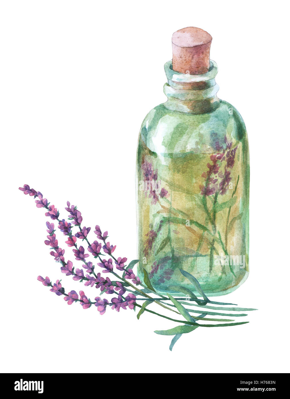 Lavanda essiccata petali in un flaconcino di vetro. Acquarello dipinto a mano illustrazione a isolare lo sfondo bianco. Foto Stock