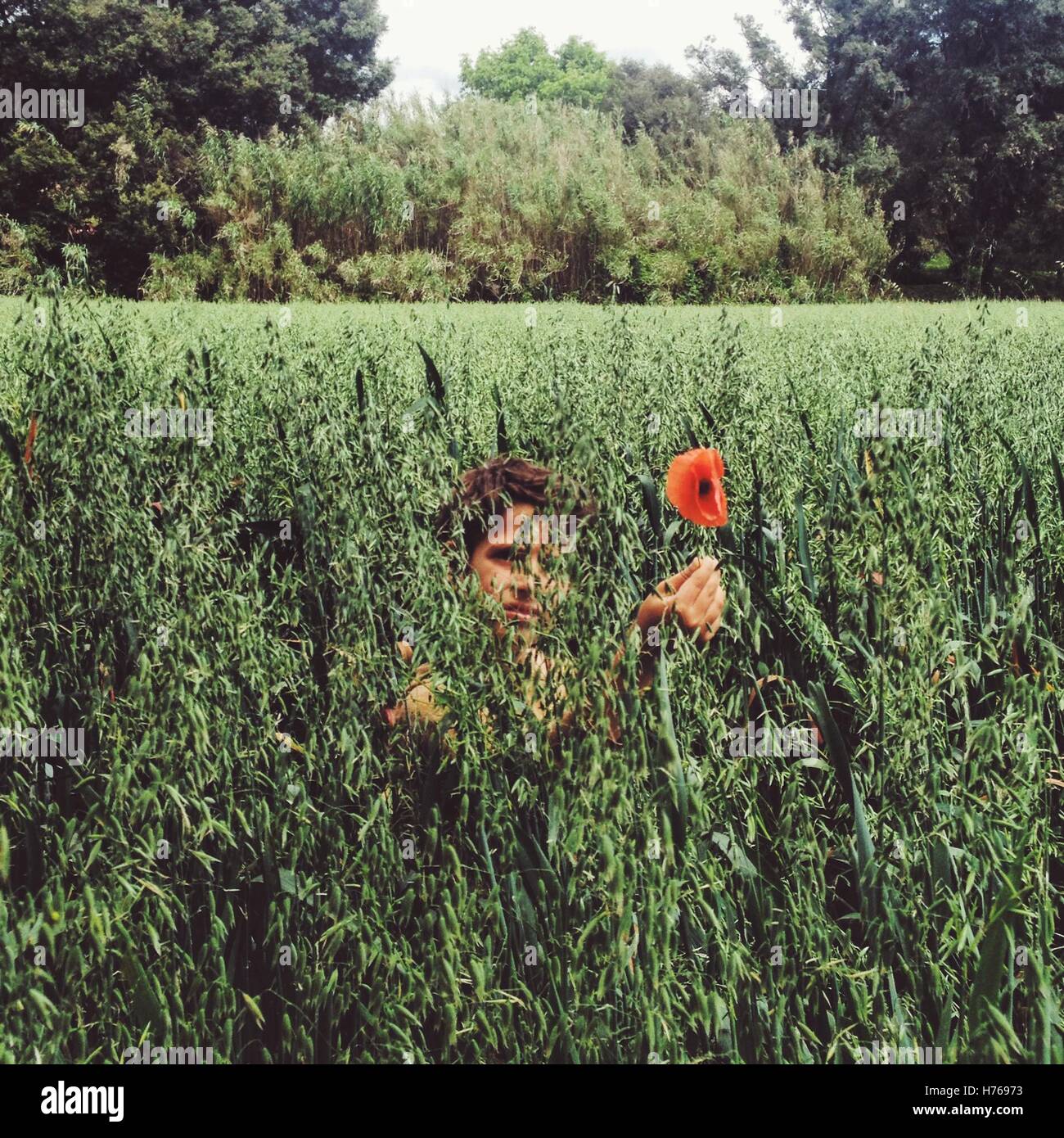 Ragazzo seduto in un campo tenendo un fiore di papavero Foto Stock