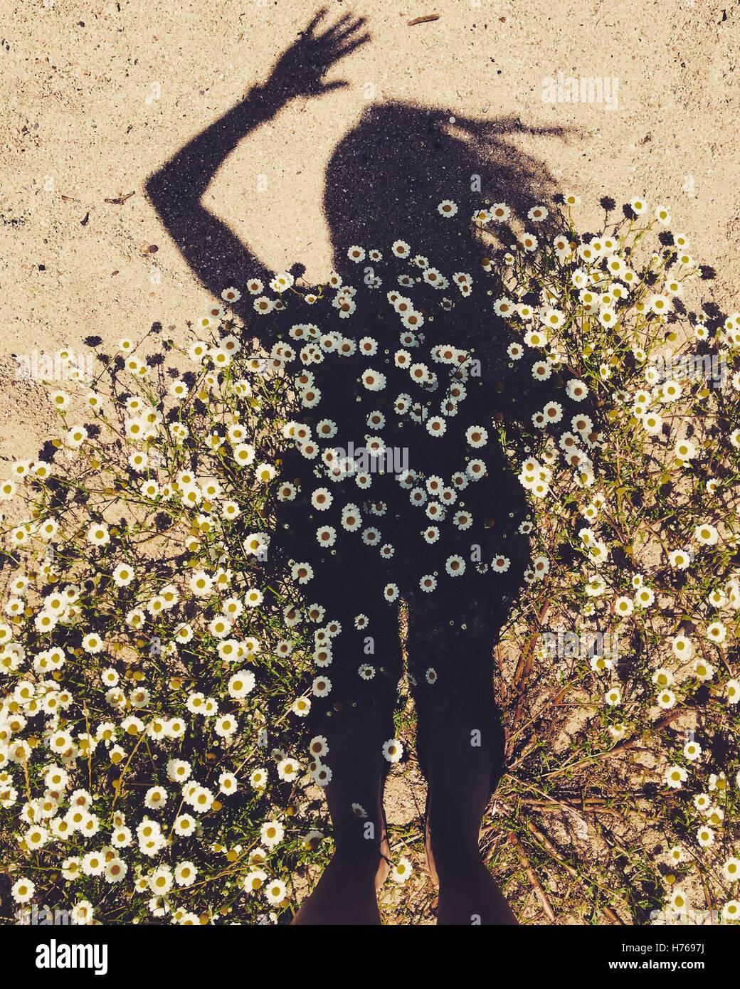 Donna di ombra sulla spiaggia di fiori Foto Stock