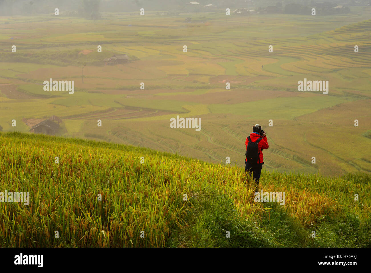 Uomo in piedi nel riso terrazzati campo di scattare una foto, Mu Cang Chai, YenBai, Vietnam Foto Stock