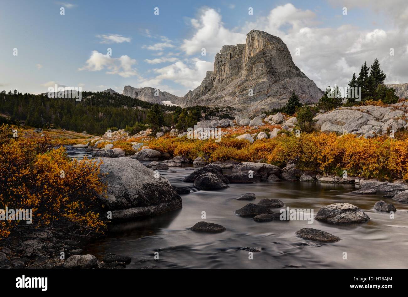 Testa di Buffalo e il vento piccolo fiume, Bridger-Teton National Forest, Wyoming America, Stati Uniti d'America Foto Stock