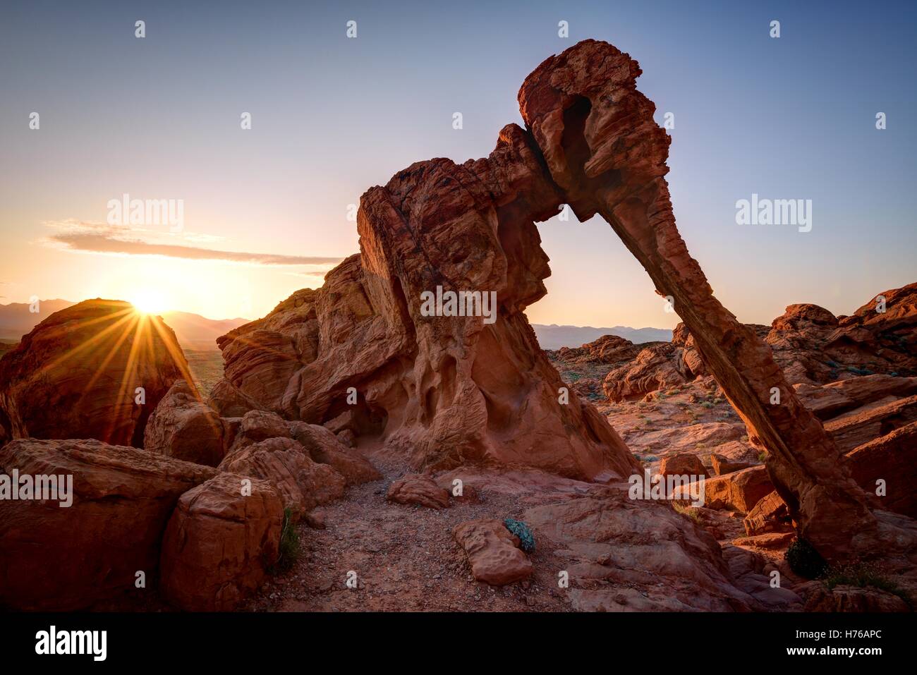 Elephant Rock, la Valle del Fuoco del parco statale, Nevada, Stati Uniti Foto Stock