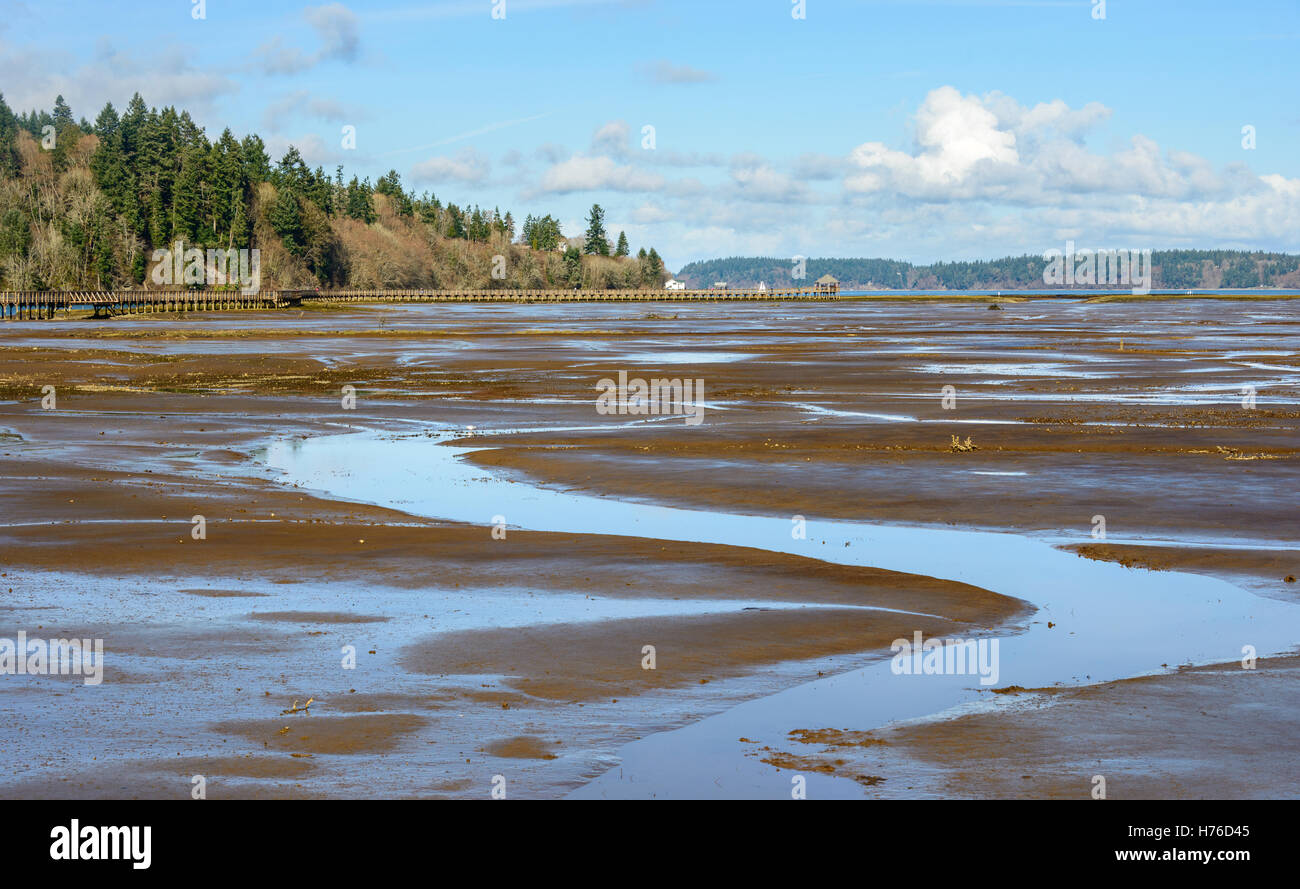 Nisqually National Wildlife Refuge Foto Stock