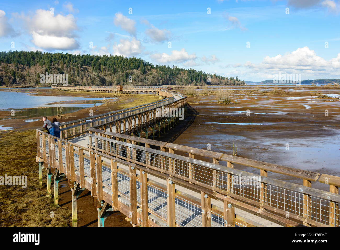 Nisqually National Wildlife Refuge Foto Stock