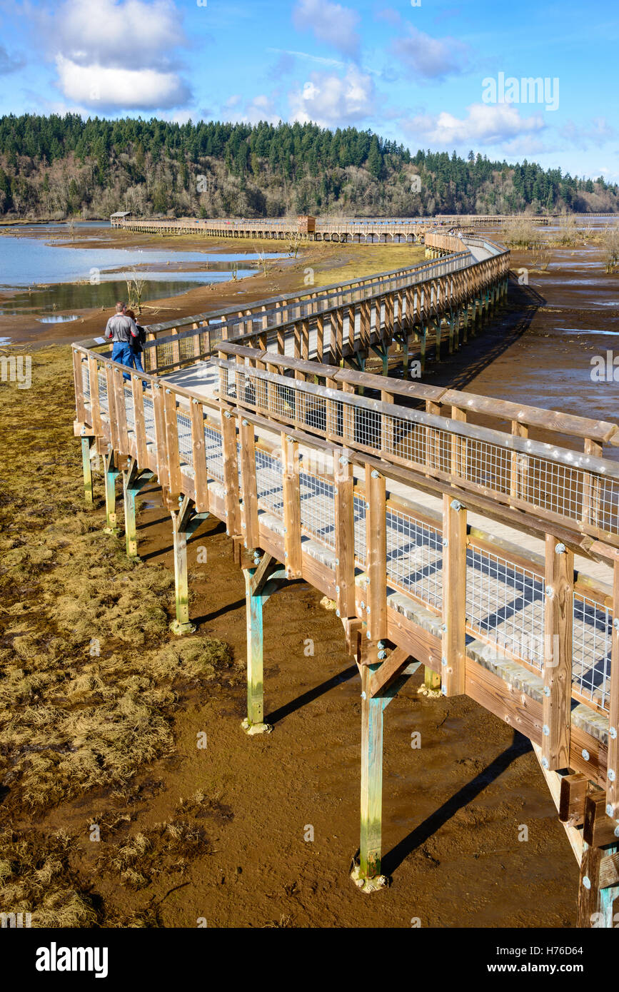 Nisqually National Wildlife Refuge Foto Stock