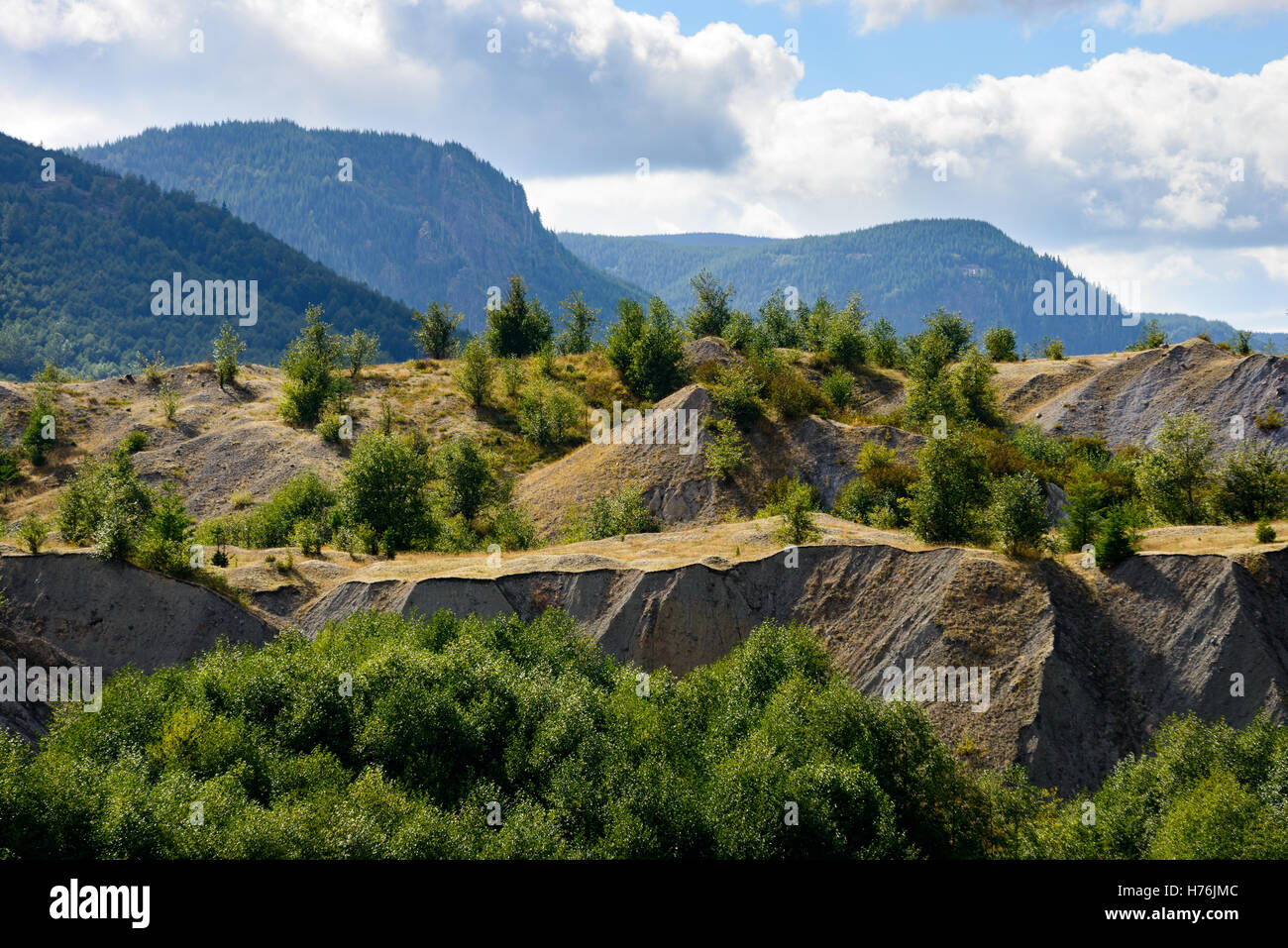 Il Monte Sant Helens National Volcanic Monument Foto Stock