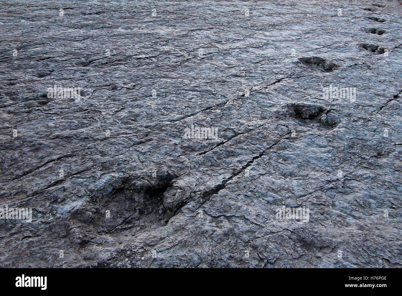 Enorme di orme di dinosauri, valle di Maragua, Bolivia Foto Stock