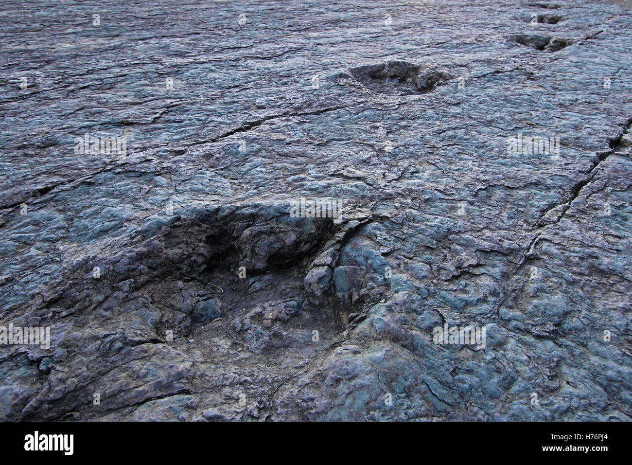 Enorme di orme di dinosauri, valle di Maragua, Bolivia Foto Stock