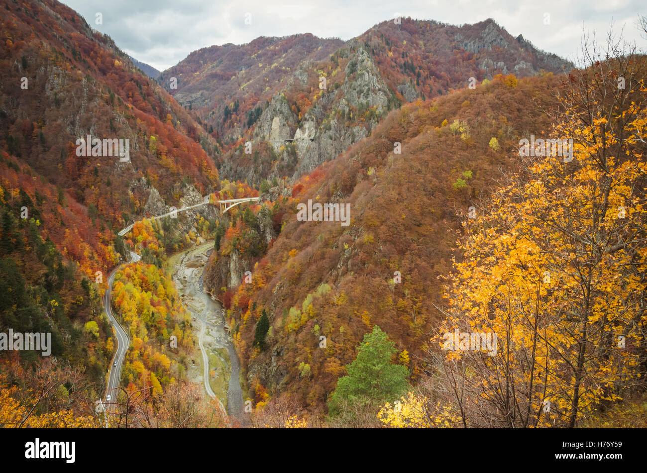 Rientrano in una foresta di montagna. Transfagarasan strada in autunno. Foto Stock