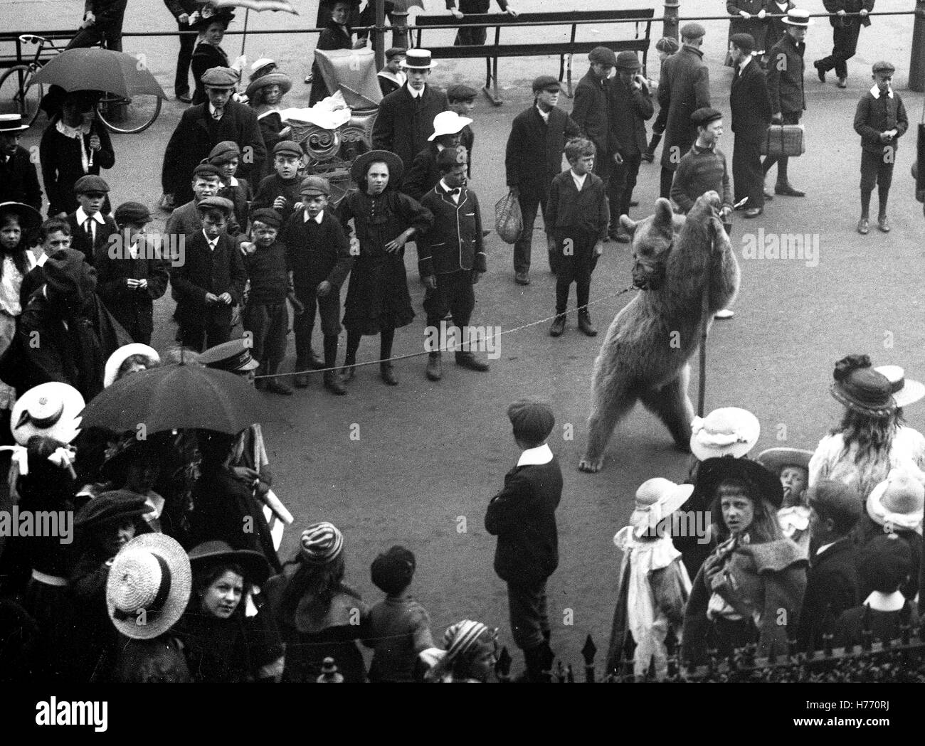 Dancing bear guardato dalla folla sul lungomare di Dover nel Kent 1909 Foto Stock