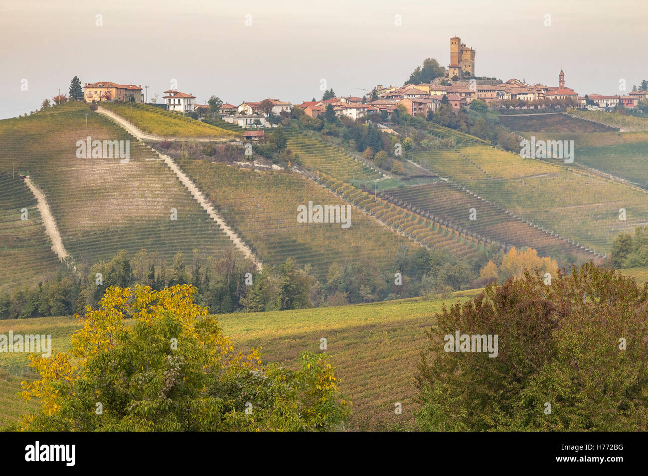 Le colline di Serralunga d'Alba, Langhe, Distretto di Cuneo, Piemonte, Italia. Foto Stock