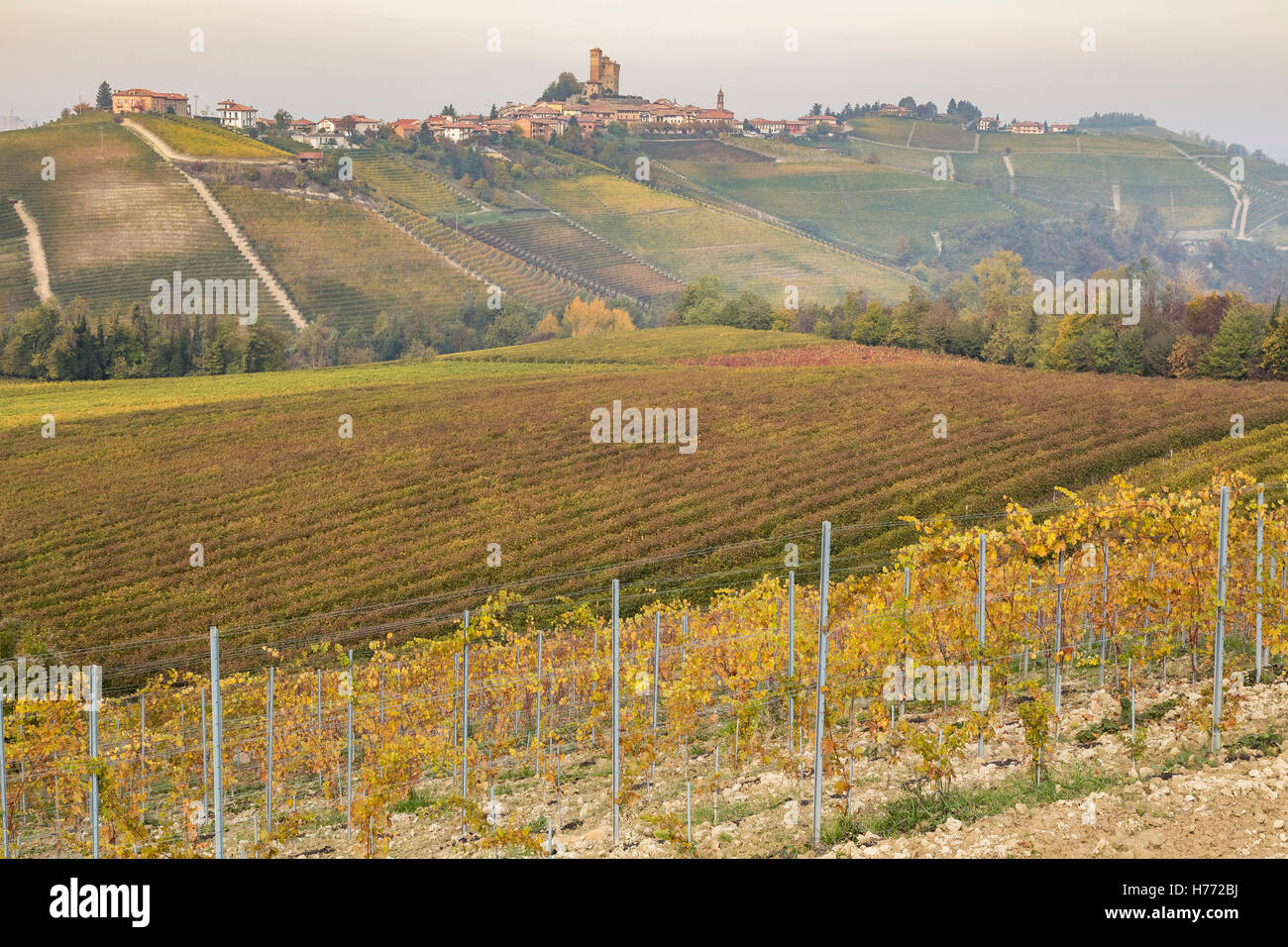 Il castello di Serralunga d'Alba, Langhe, Distretto di Cuneo, Piemonte, Italia. Foto Stock