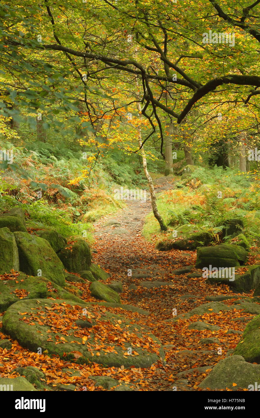 Una macina abbandonati, un simbolo del Parco Nazionale di Peak District il patrimonio culturale, Padley Gorge, DERBYSHIRE REGNO UNITO Inghilterra Foto Stock