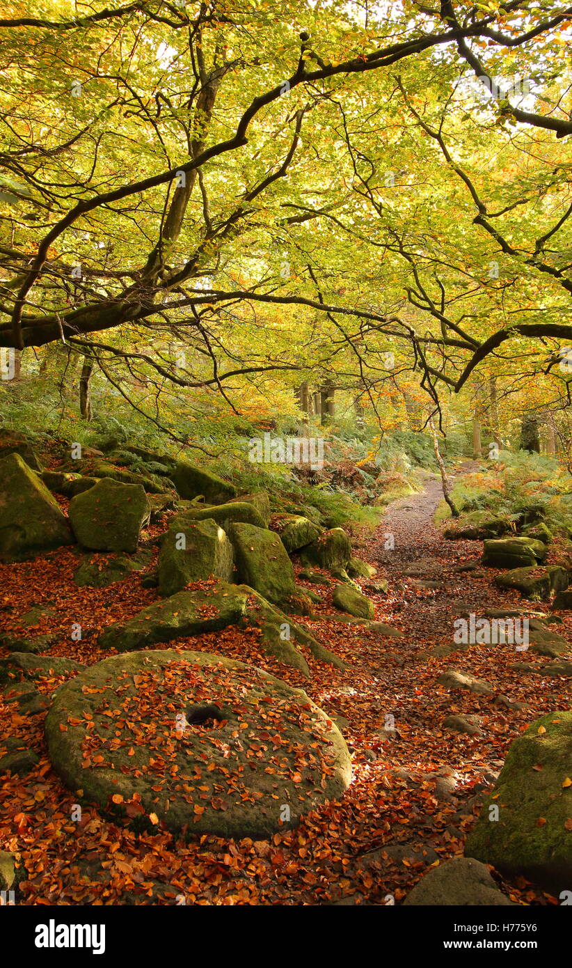 Una macina abbandonati, un simbolo del Parco Nazionale di Peak District il patrimonio culturale, Padley Gorge, DERBYSHIRE REGNO UNITO Inghilterra Foto Stock
