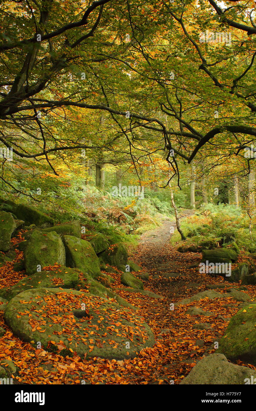 Una macina abbandonati, un simbolo del Parco Nazionale di Peak District il patrimonio culturale, Padley Gorge, DERBYSHIRE REGNO UNITO Inghilterra Foto Stock
