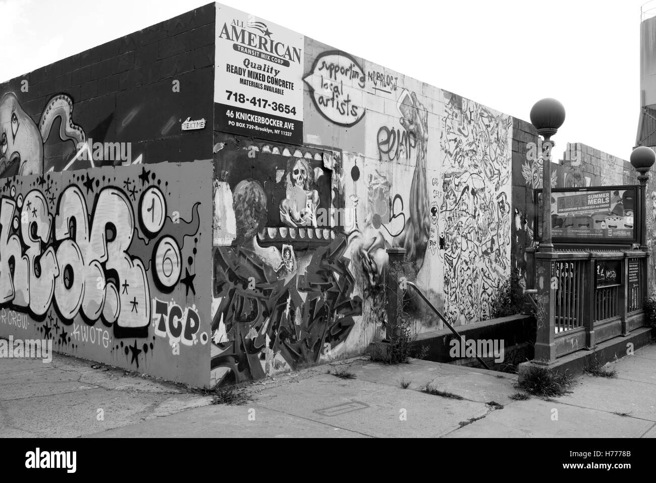 Muro di graffiti murali di arte di strada lungo Meserole St in Oriente Williamsburg / Brunswick sezione di Brooklyn, New York City, Stati Uniti d'America Foto Stock