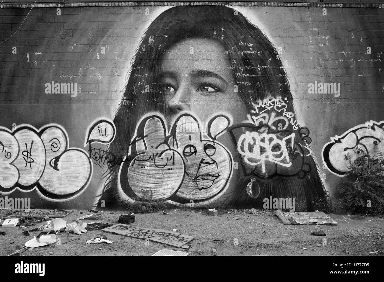 Muro di graffiti murali di arte di strada lungo Meserole St in Oriente Williamsburg / Brunswick sezione di Brooklyn, New York City, Stati Uniti d'America in bianco e nero in orizzontale Foto Stock