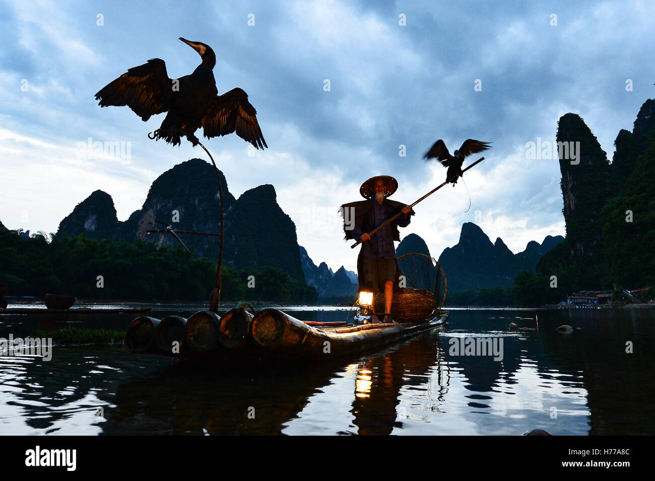 Silhouette di un cormorano pescatore, Yangshuo, Guilin, Cina Foto Stock