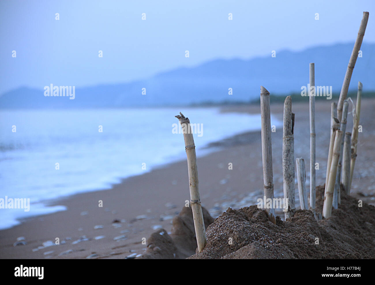 Bastoni in sabbia sulla spiaggia Foto Stock