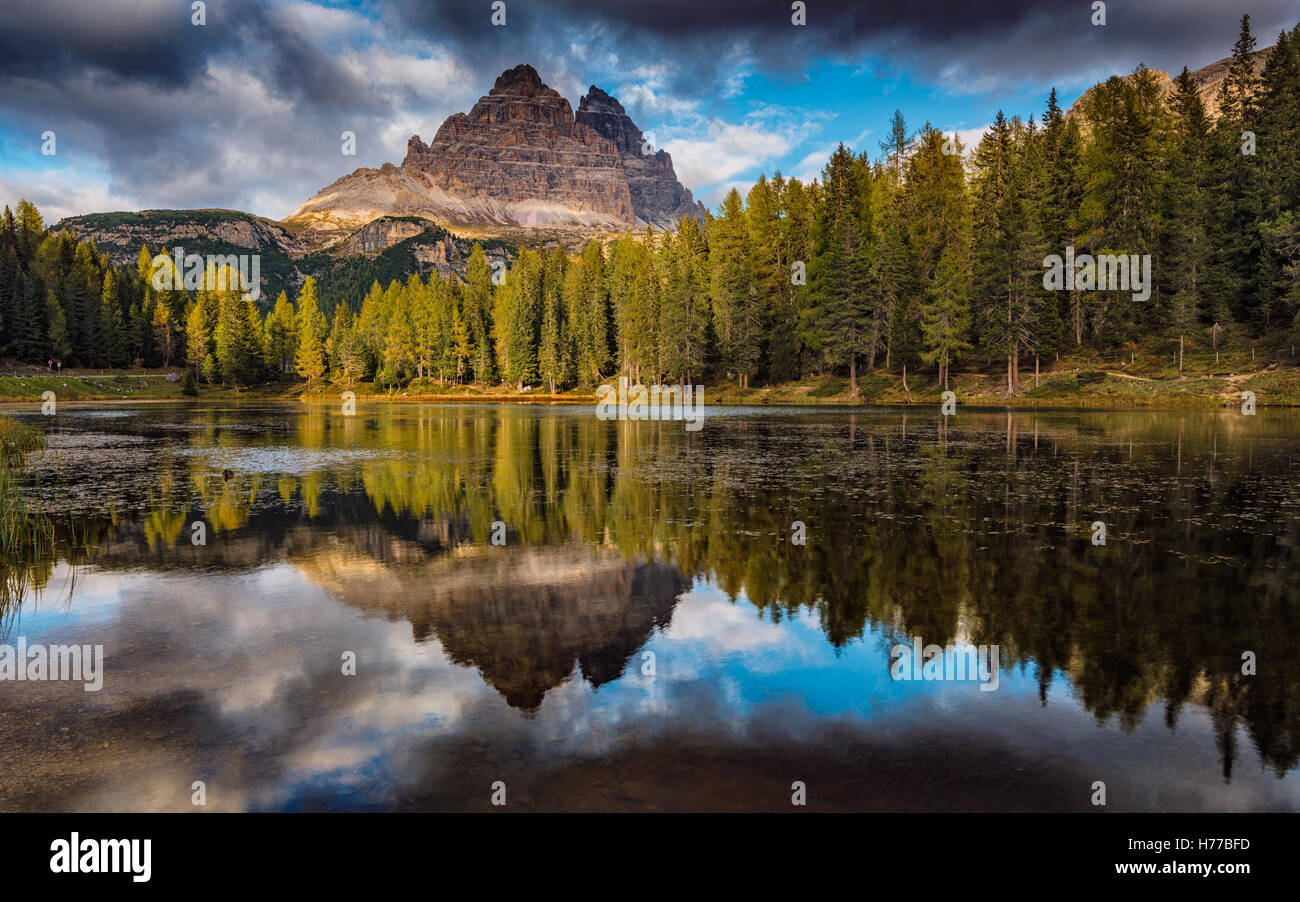 Montagna e riflessioni di Foresta, Lago Antorno, Dolomiti, Italia Foto Stock
