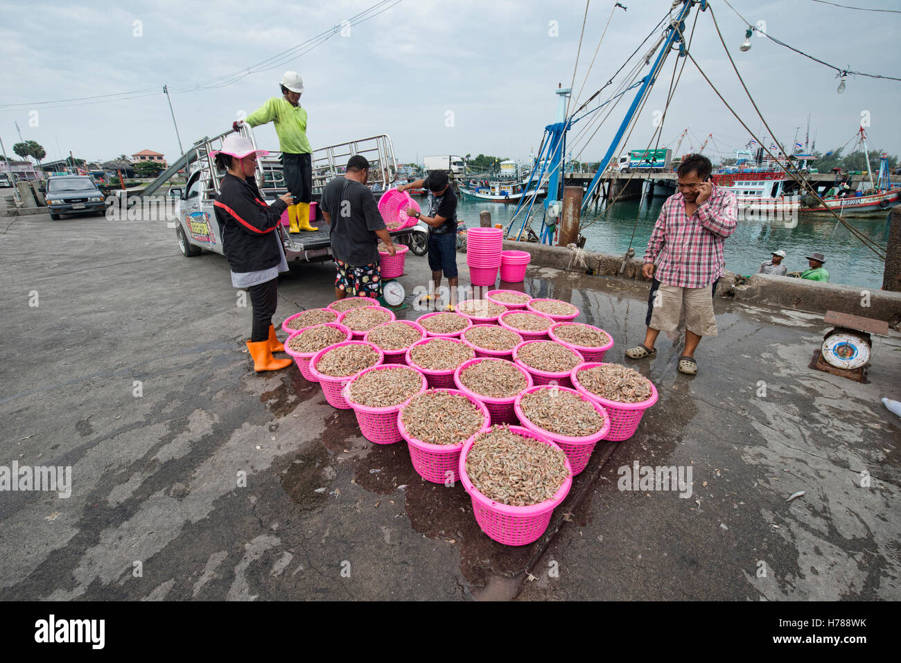 Industria di gamberetti in Ao Noi pier, Prachuap Khiri Khan, Thailandia Foto Stock