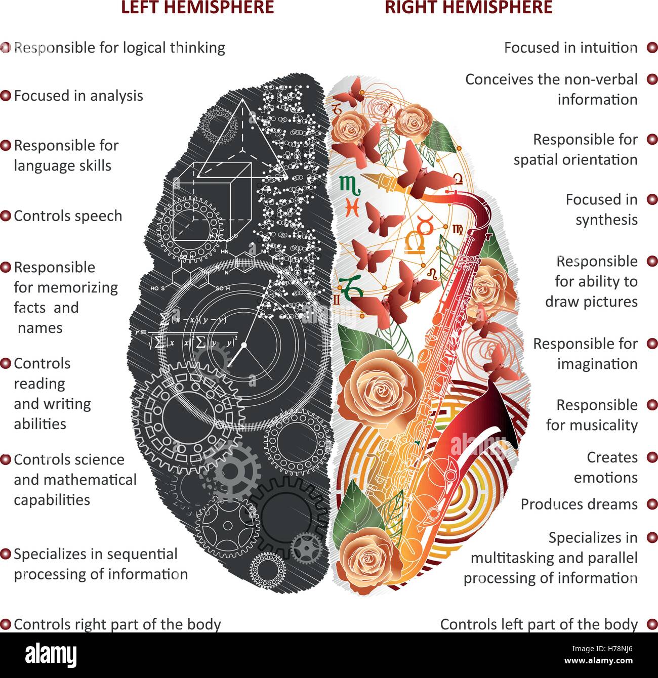 Cervello analitico di sinistra e di destra emisferi creative infographics illustrazione vettoriale Illustrazione Vettoriale