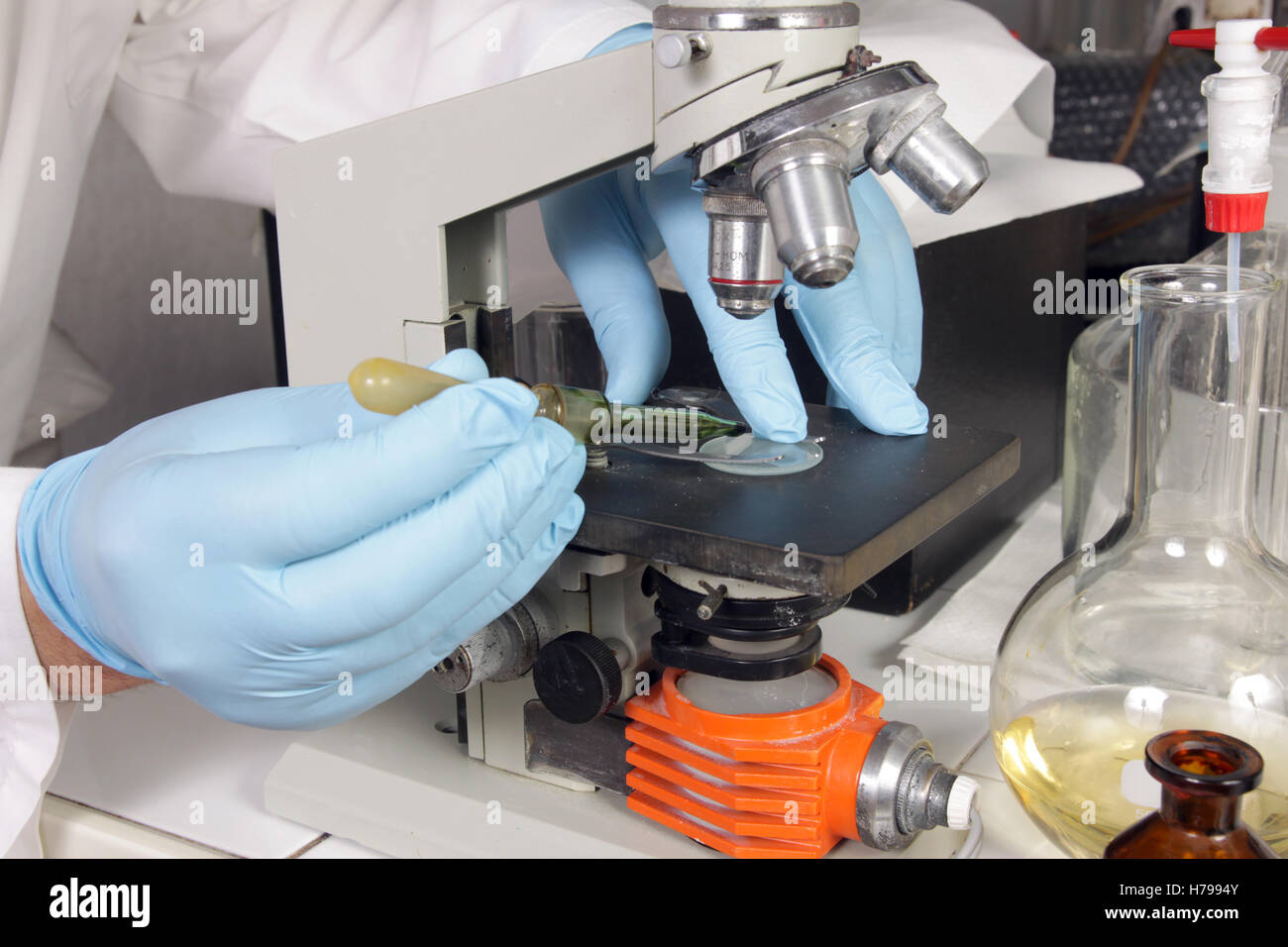 Il biologo a lavorare in un laboratorio Foto Stock