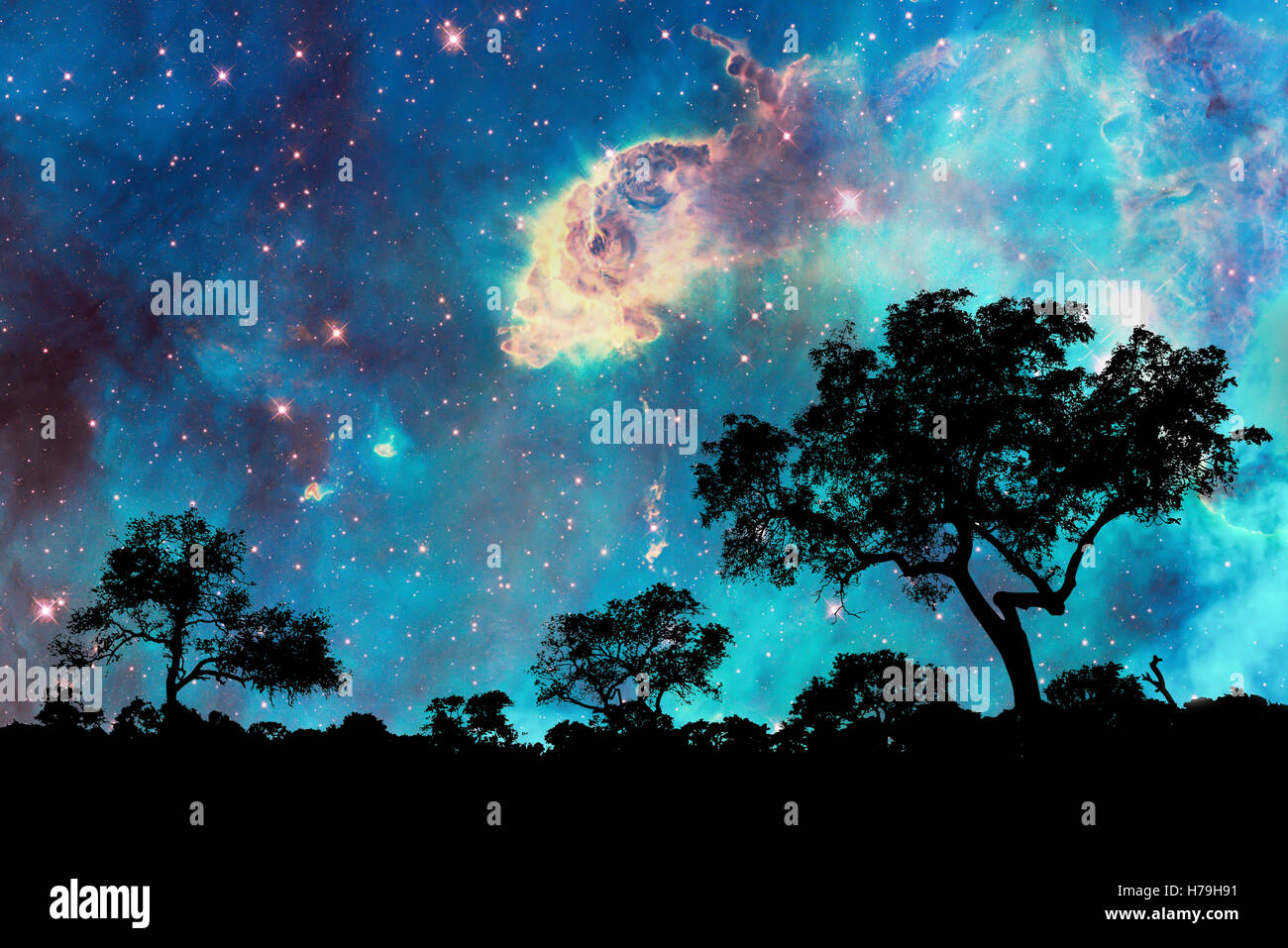 Paesaggio notturno con silhouette di alberi e cielo stellato Foto Stock