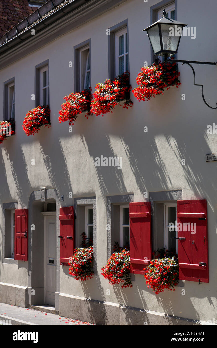 Close up fiore caselle della finestra sul vecchio edificio a Rothenburg ob der Tauber,città medievale, Baviera, Germania Foto Stock