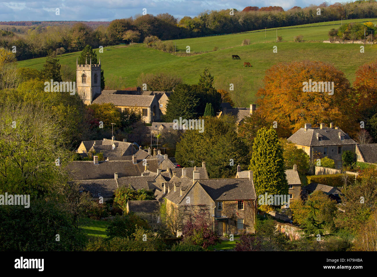 Villaggio di Naunton in autunno,Cotswolds,Gloucestershire,Inghilterra Foto Stock