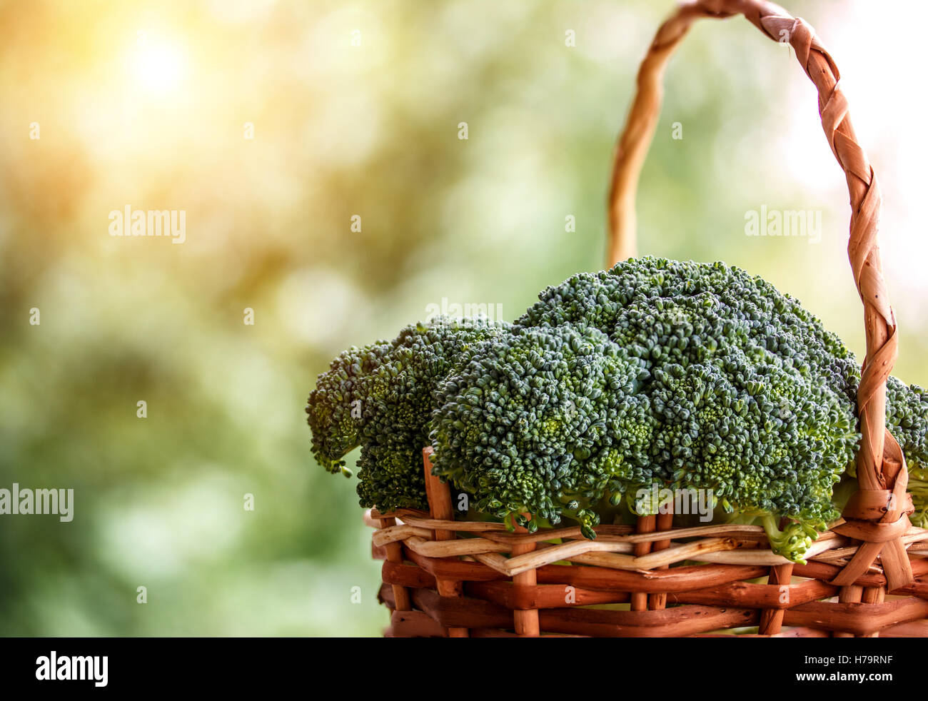 Broccoli freschi in un cestello, alimenti biologici Foto Stock