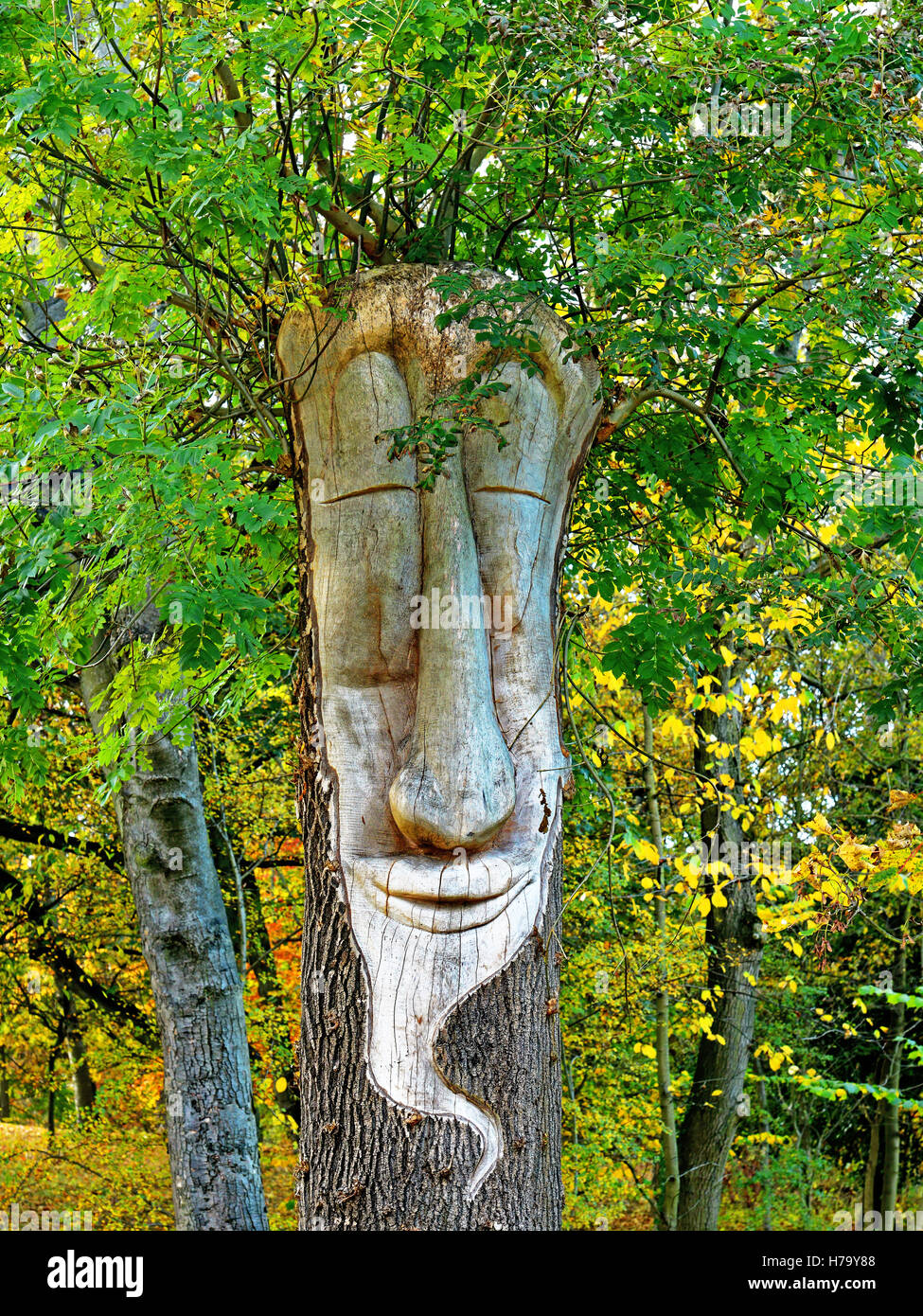 Albero di bosco Troll Intagliato Foto Stock